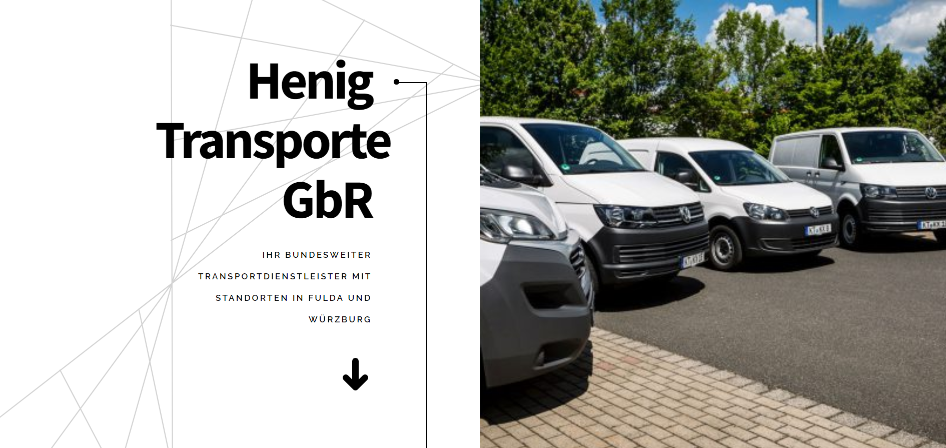 Henig-Transporte-Portfolio